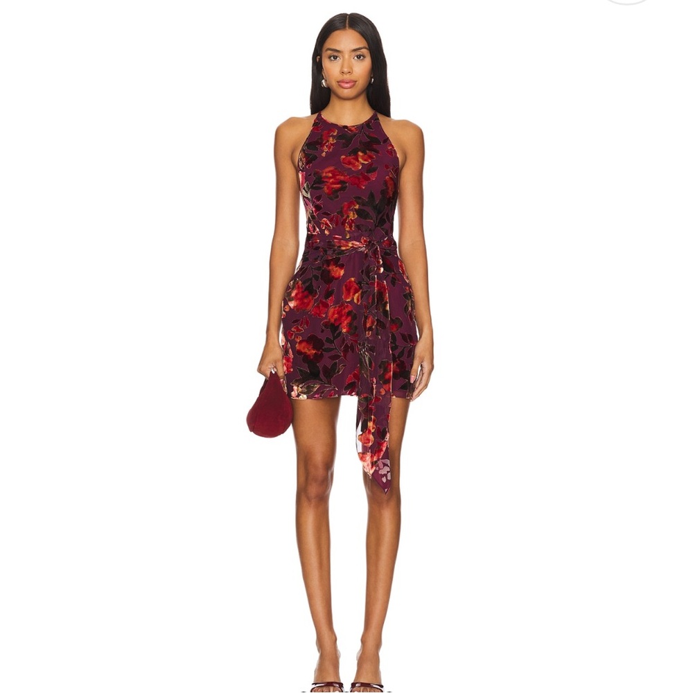 Amanda Uprichard Selah Sorrel Burnout dress